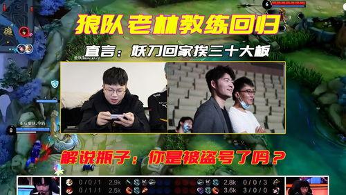 老林直播爆料回狼队视频,回狼队背后的故事与情感纠葛 第2张 老林直播爆料回狼队视频,回狼队背后的故事与情感纠葛 第2张