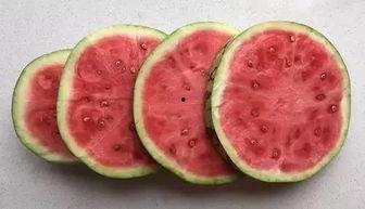 我爱吃瓜官网免费吃瓜在线,我爱吃瓜官网带你开启甜蜜之旅 第3张 我爱吃瓜官网免费吃瓜在线,我爱吃瓜官网带你开启甜蜜之旅 第3张